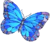 Butterfly2p