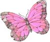 Butterfly2s